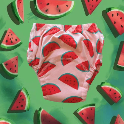 Potty Training Underwear