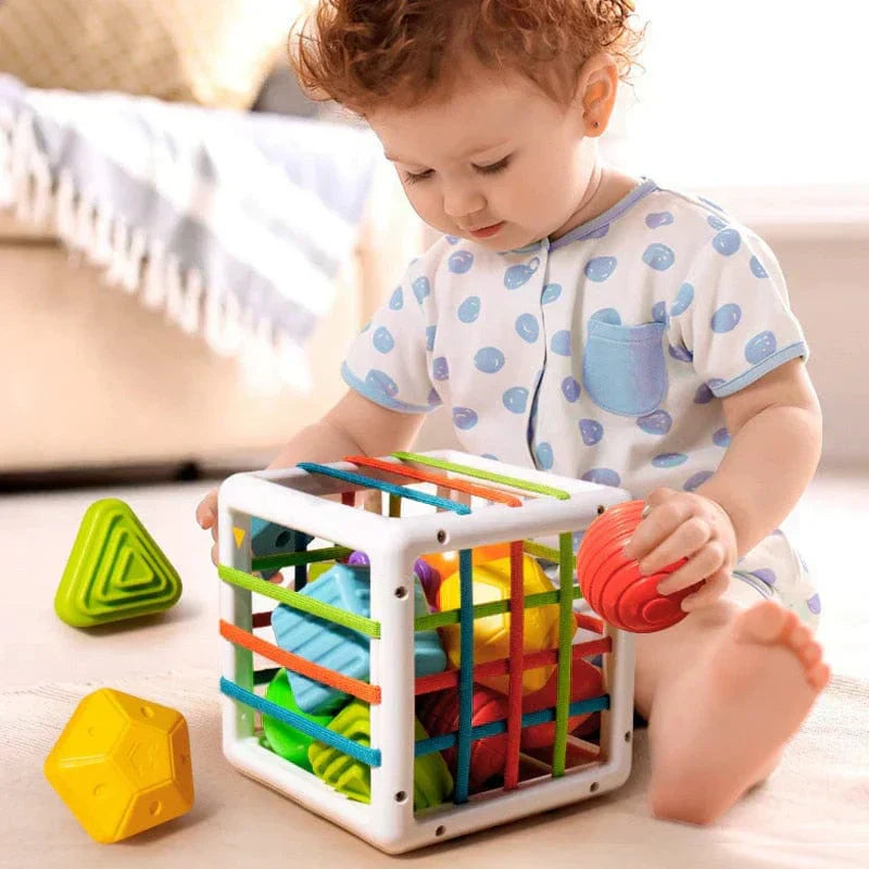 QuantivaBox - Educational Box