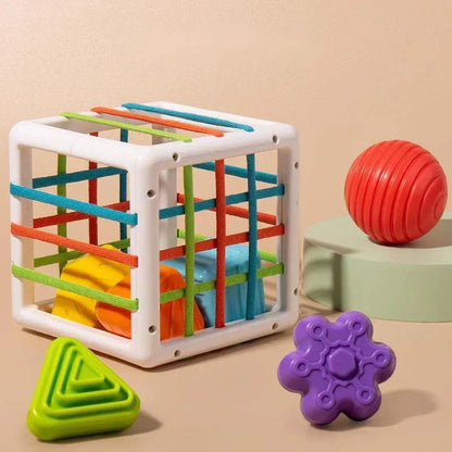 QuantivaBox - Educational Box