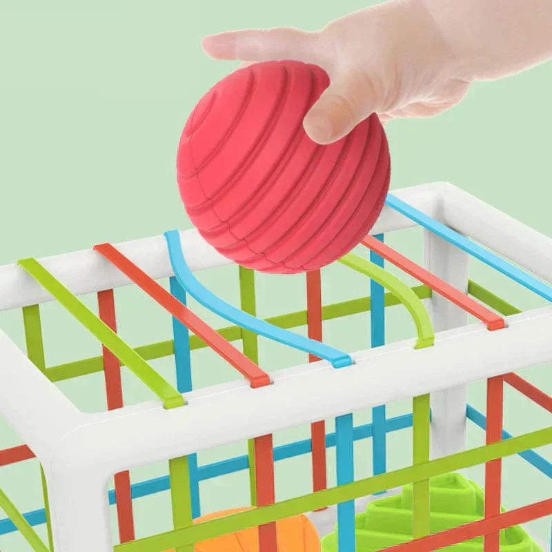 QuantivaBox - Educational Box