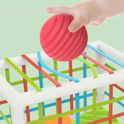 QuantivaBox - Educational Box
