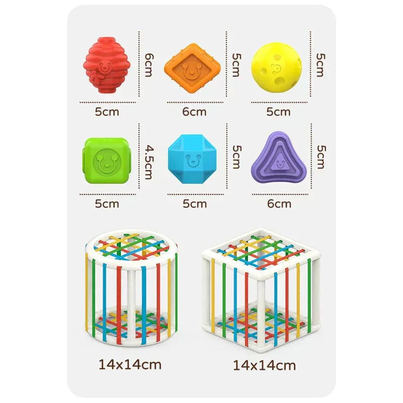 QuantivaBox - Educational Box