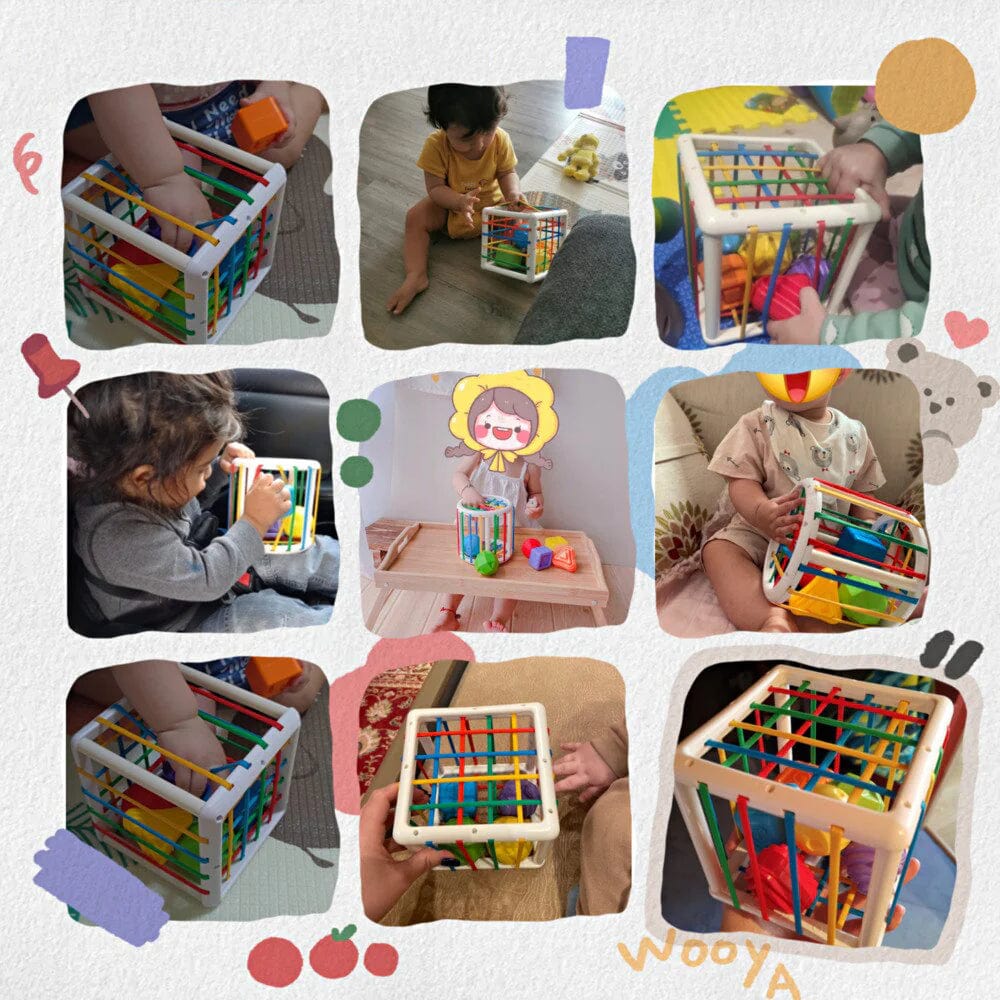 QuantivaBox - Educational Box